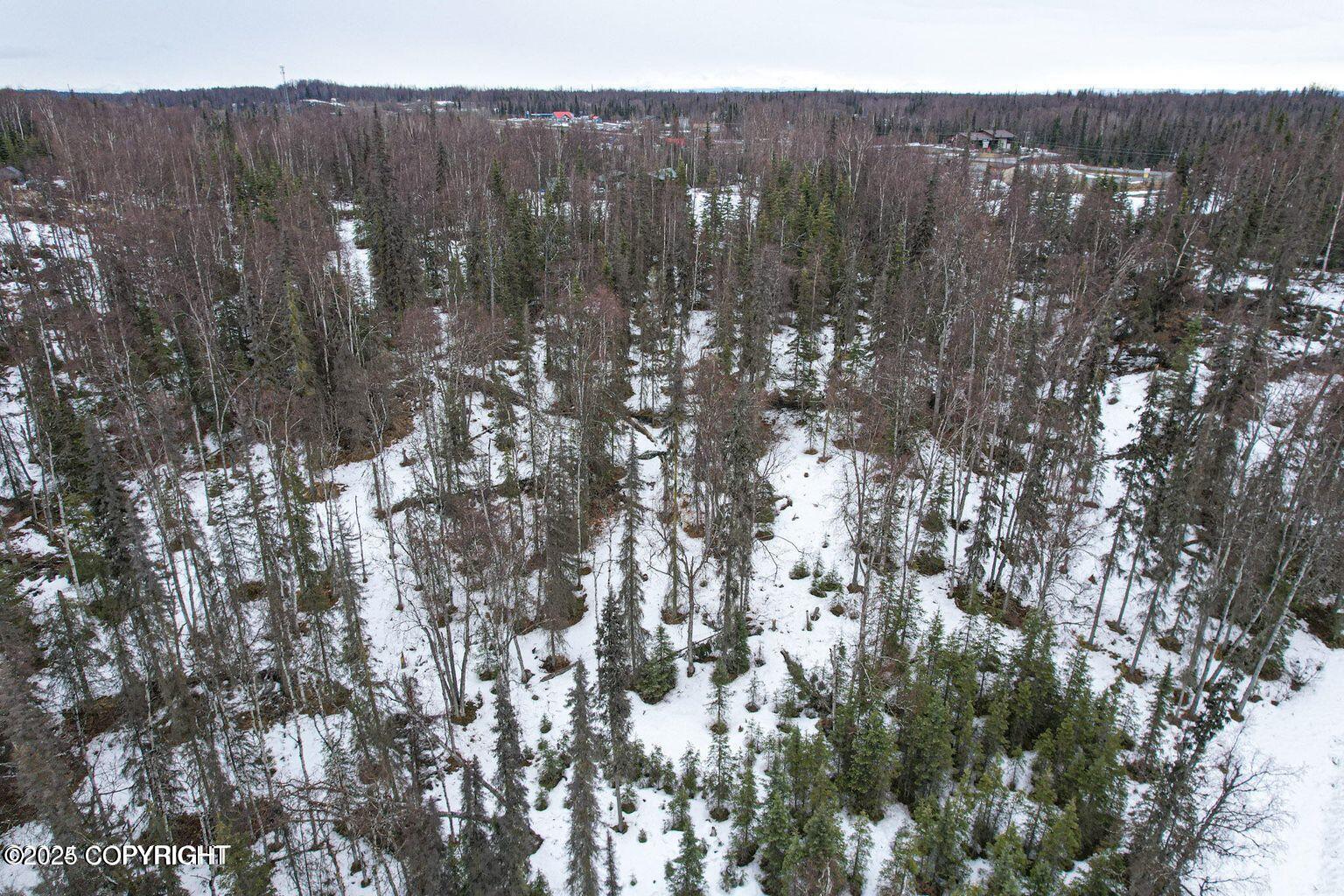 36026 Birch Road, Soldotna, Alaska image 14