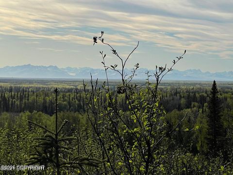 Photo of 40745 Frogberry Street, Kenai, AK 99611 (MLS # 26-4784)