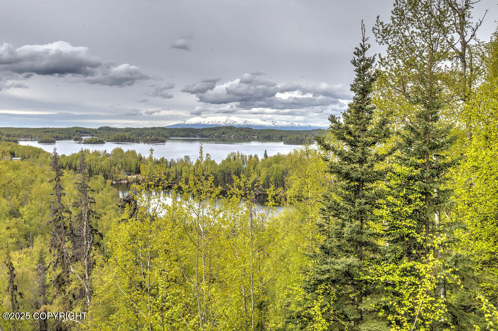 4714 S Hydroplane Circle, Big Lake, Alaska image 33