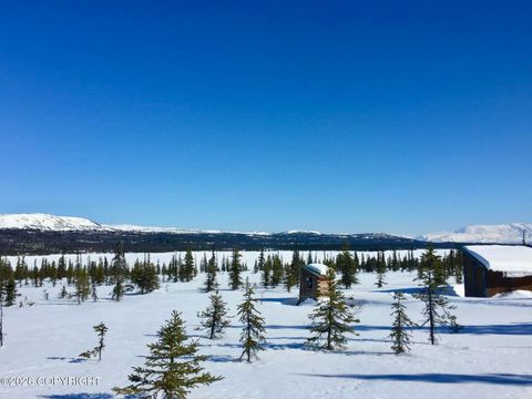 Vacant Land For Sale - 45589 Caribou Lake Rem Sw<br/> Homer, AK 99603