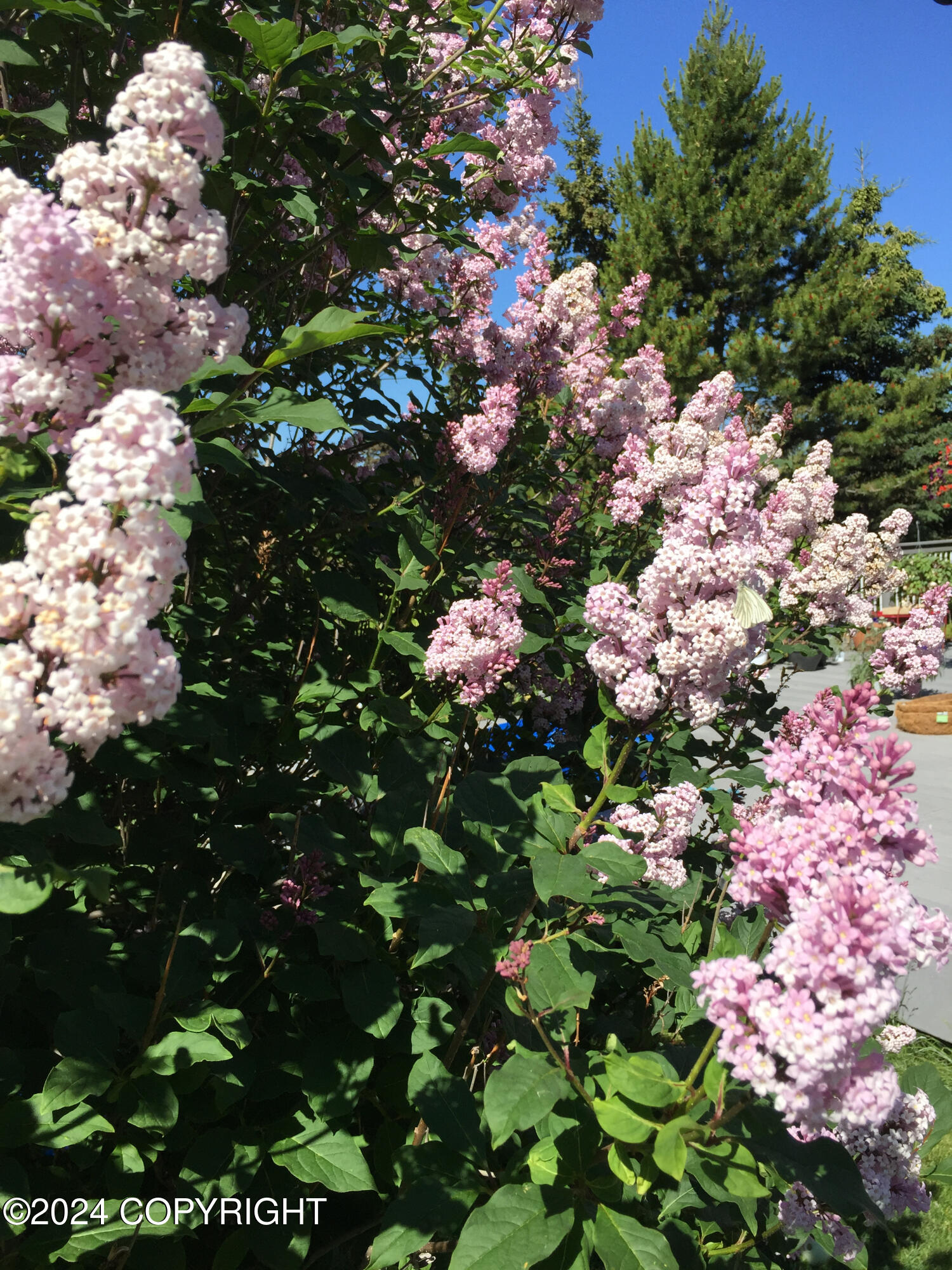 Anchorage, Alaska 99516, United States, 4 Bedrooms Bedrooms, ,3 BathroomsBathrooms,Residential,Pending,32663