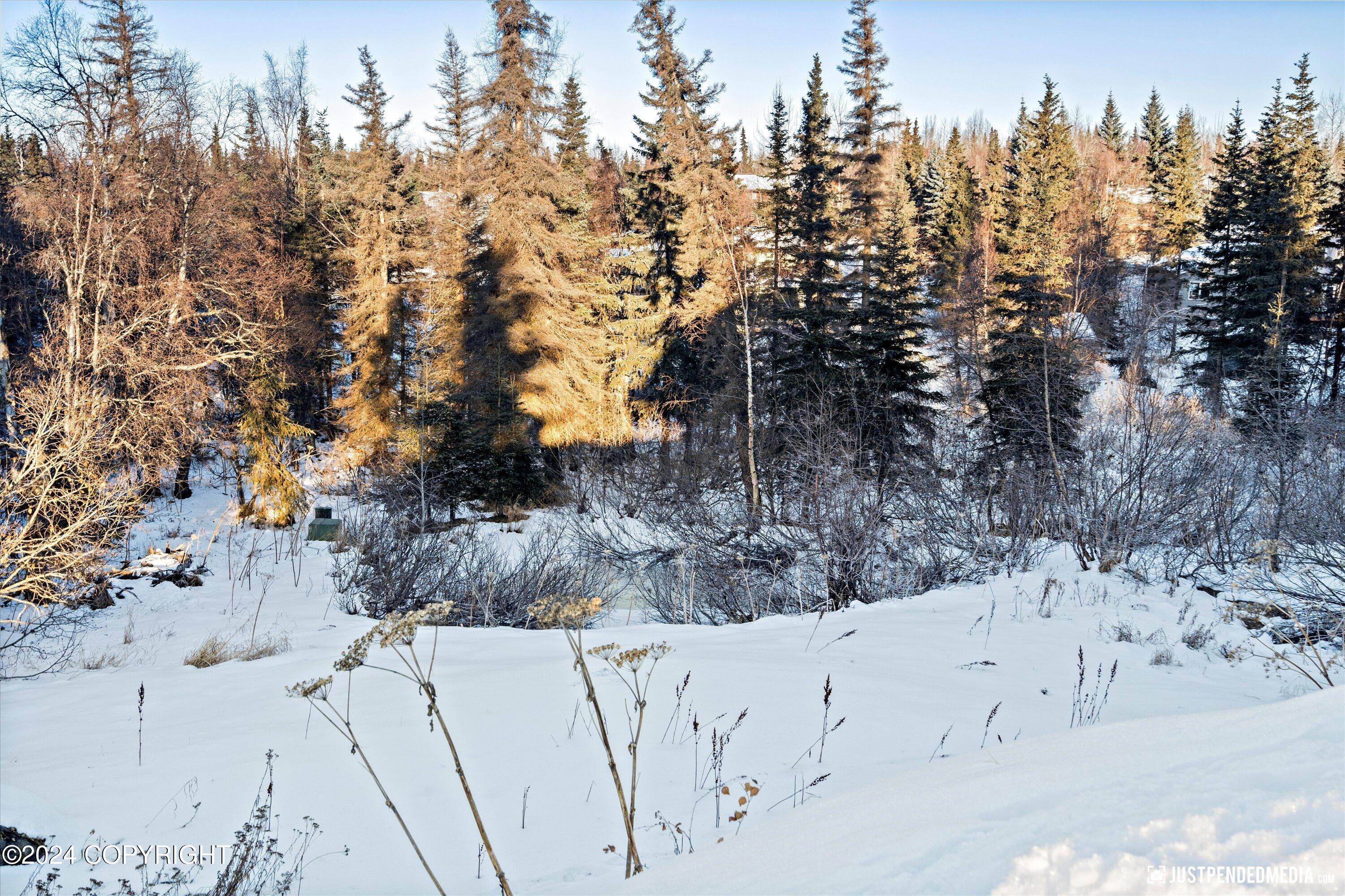 Anchorage, Alaska 99516, United States, 4 Bedrooms Bedrooms, ,3 BathroomsBathrooms,Residential,Pending,32663