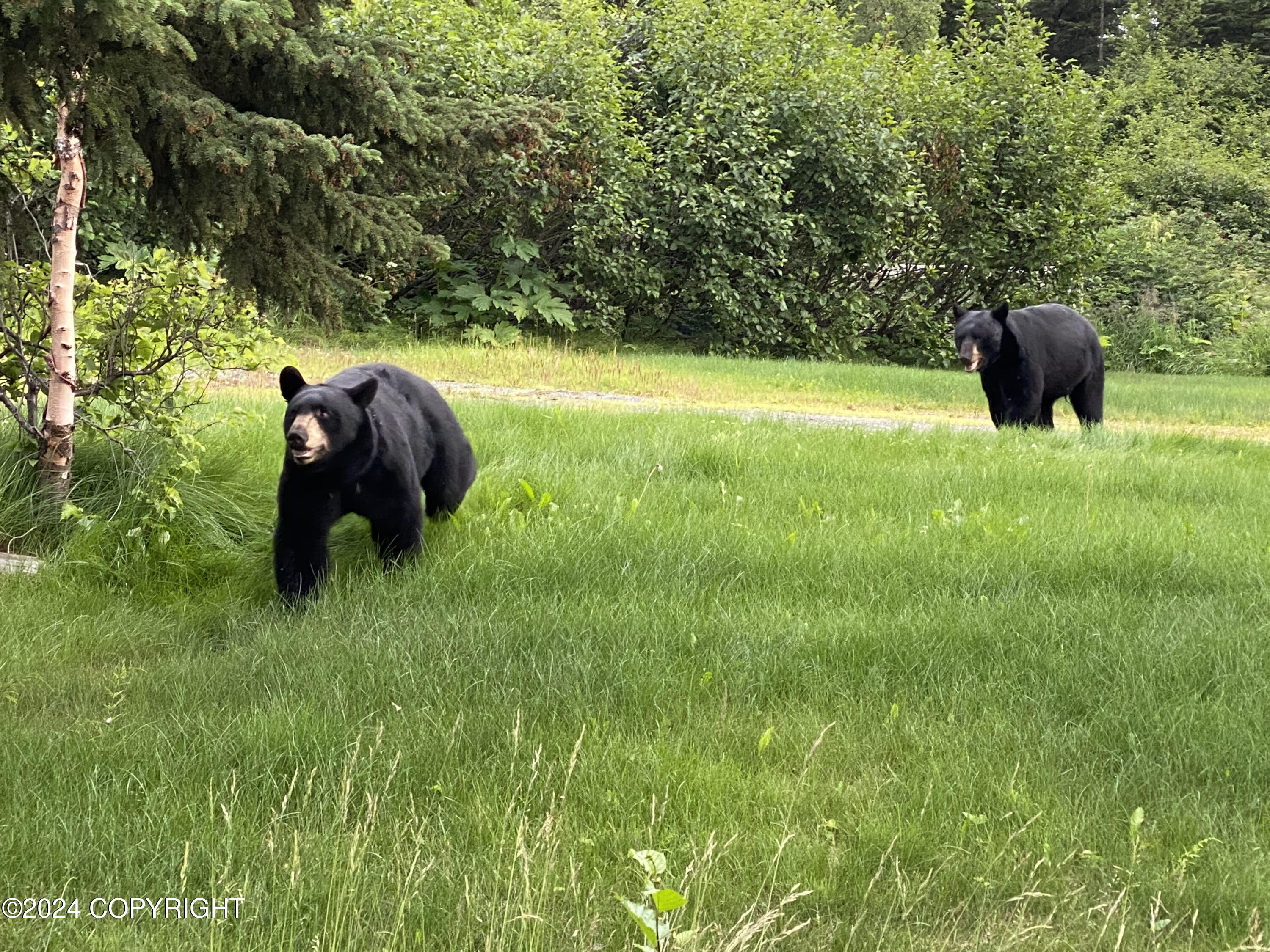 Anchorage, Alaska 99516, United States, 4 Bedrooms Bedrooms, ,3 BathroomsBathrooms,Residential,Pending,32663