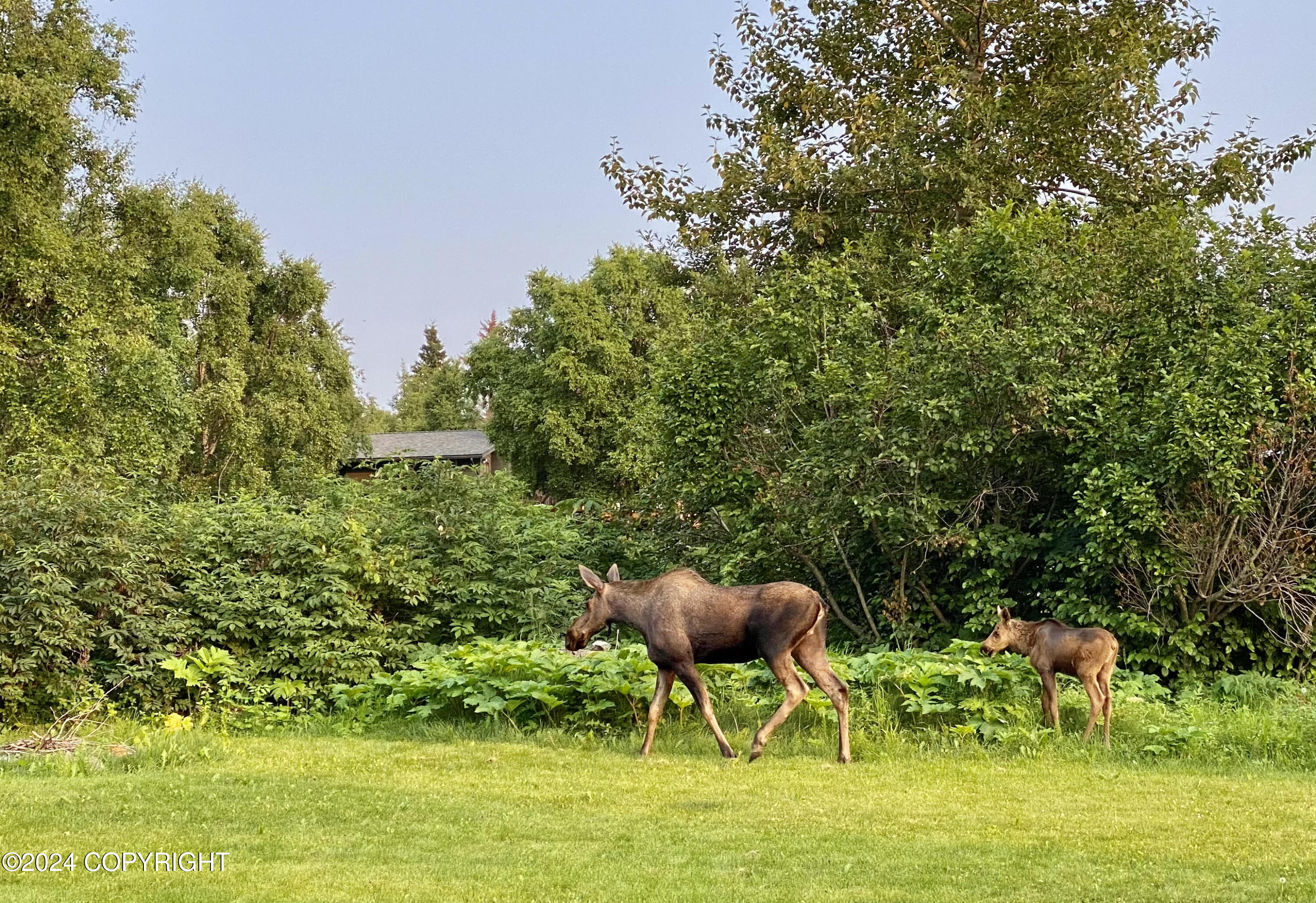 Anchorage, Alaska 99516, United States, 4 Bedrooms Bedrooms, ,3 BathroomsBathrooms,Residential,Pending,32663
