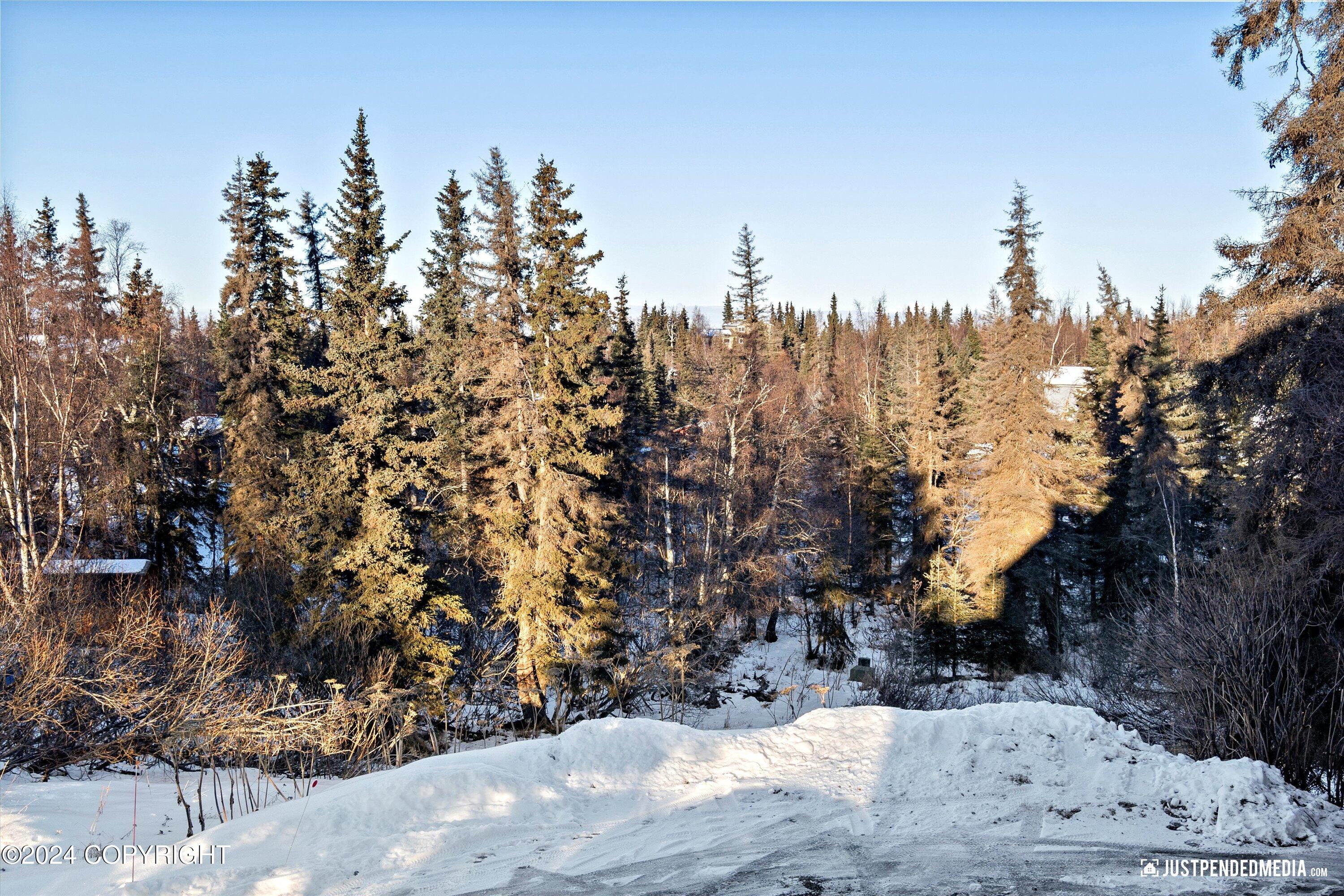 Anchorage, Alaska 99516, United States, 4 Bedrooms Bedrooms, ,3 BathroomsBathrooms,Residential,Pending,32663