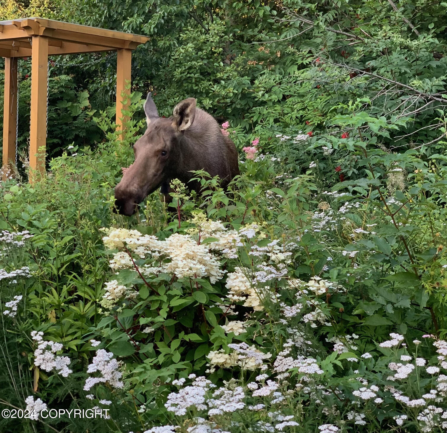 Anchorage, Alaska 99516, United States, 4 Bedrooms Bedrooms, ,3 BathroomsBathrooms,Residential,Pending,32663