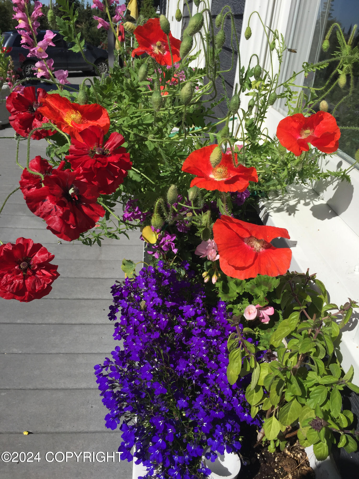 Anchorage, Alaska 99516, United States, 4 Bedrooms Bedrooms, ,3 BathroomsBathrooms,Residential,Pending,32663