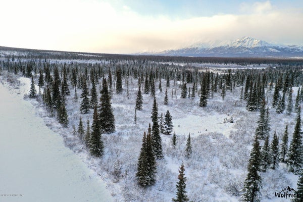 B1-L4 DENALI JACK RIVER CANYON, CANTWELL, AK 99729 - Image d64ff8f99ede3bdb0bf455cd207ff77e/2478443311