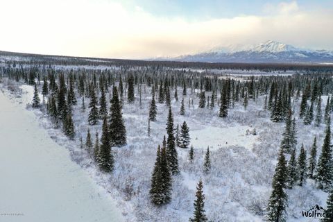 Vacant Land For Sale - B1-L4 Denali Jack River Canyon<br/> Cantwell, AK 99729
