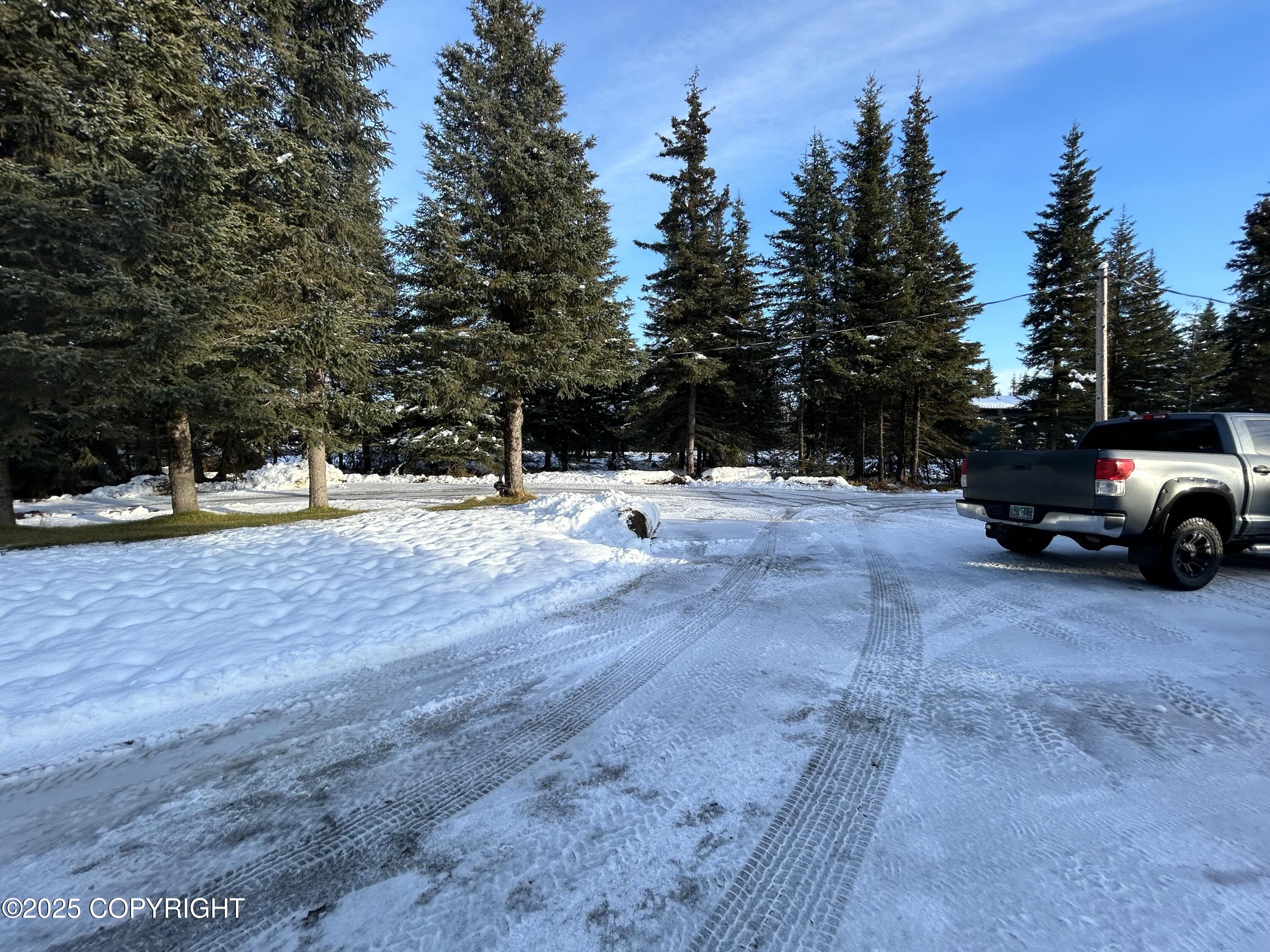 34581 N Fork Road, Anchor Point, Alaska image 24