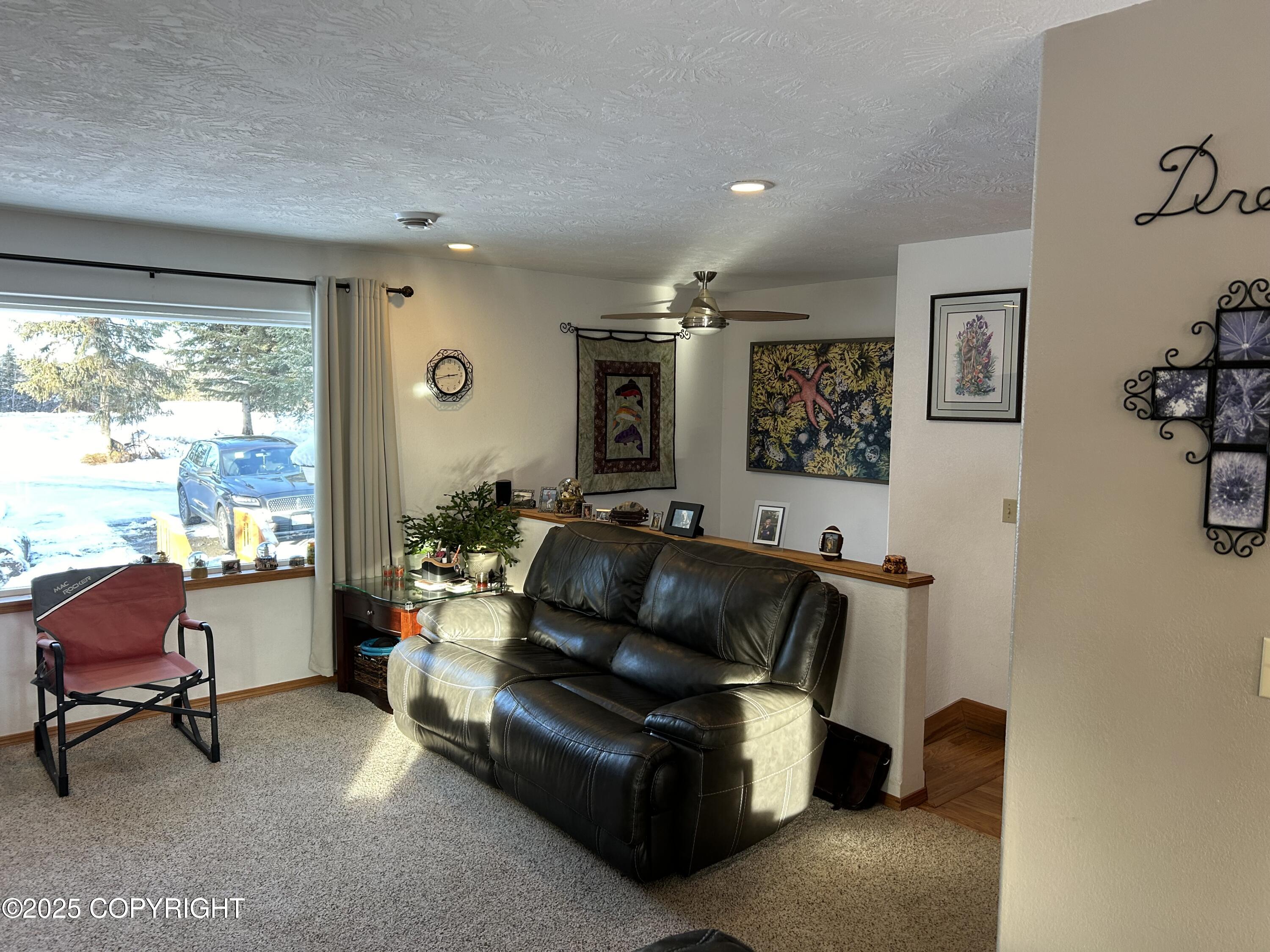 34581 N Fork Road, Anchor Point, Alaska image 6