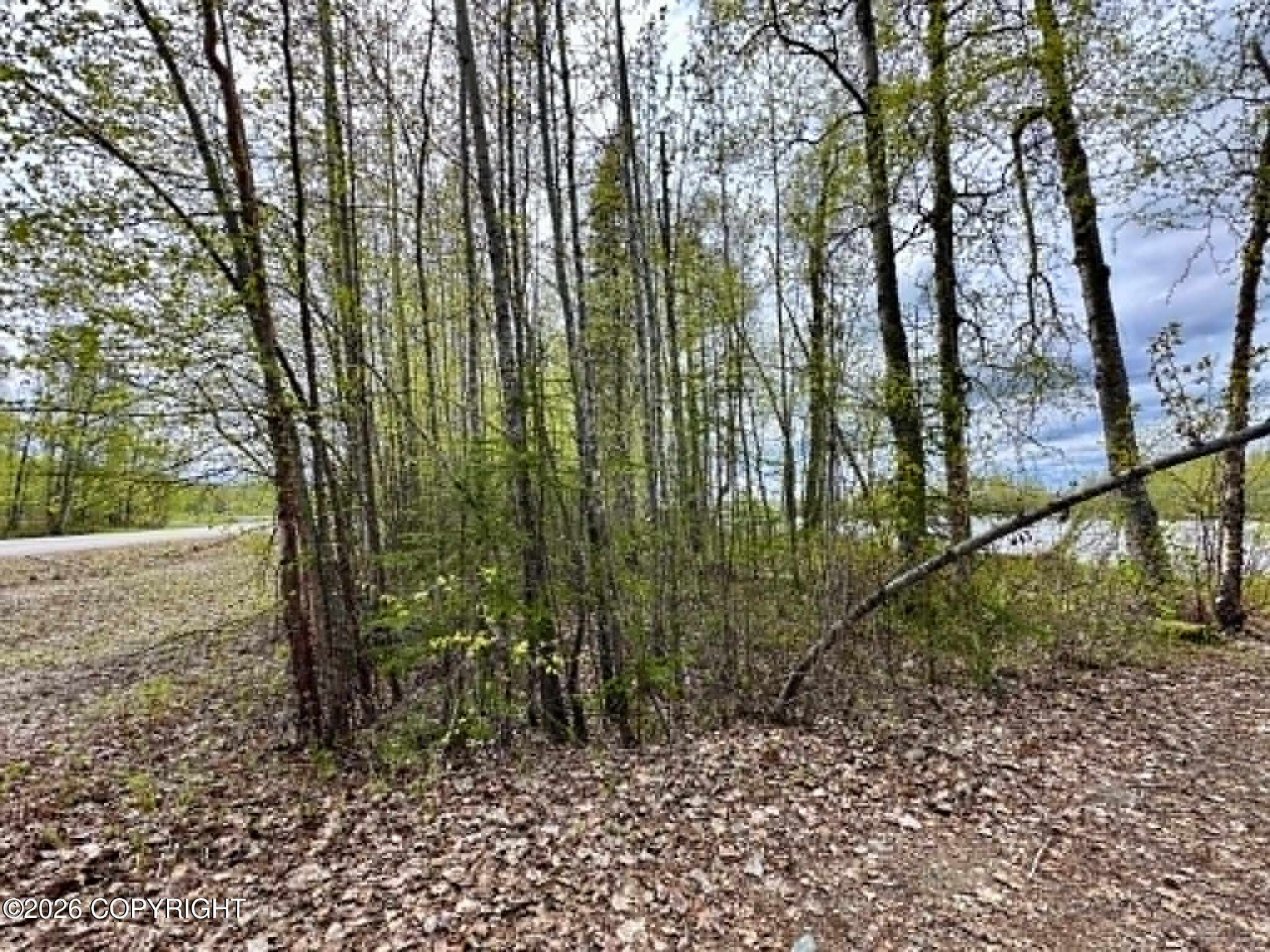 23240 S Talkeetna Spur Road