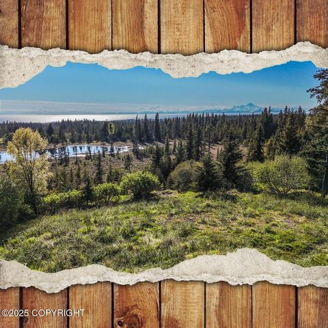 Vacant Land For Sale - 40285 Sterling Highway<br/> Homer, AK 99603