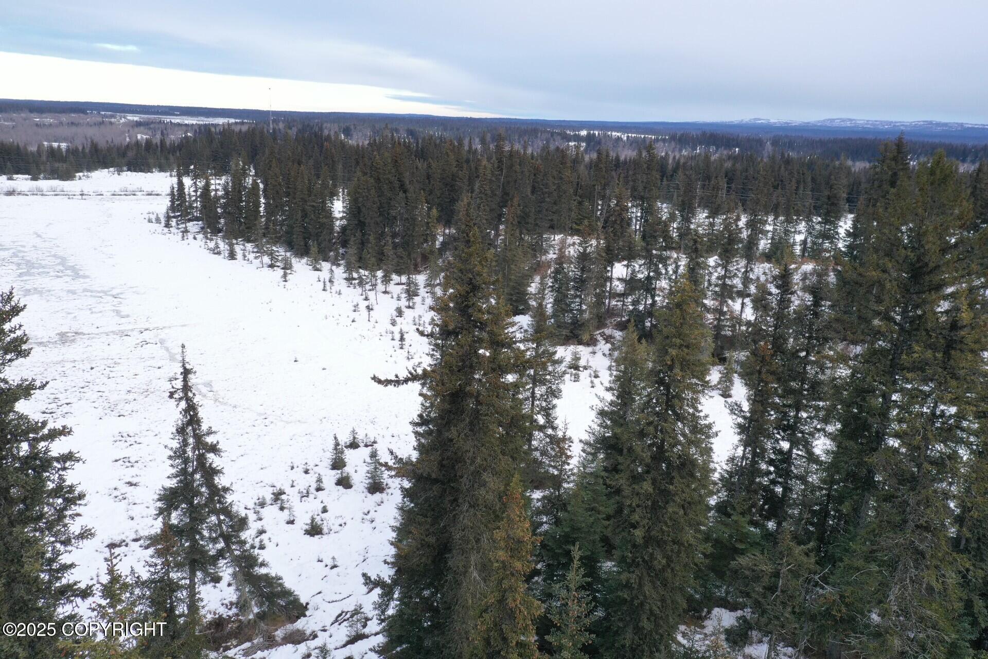 71252 W Siri Court, Anchor Point, Alaska image 27