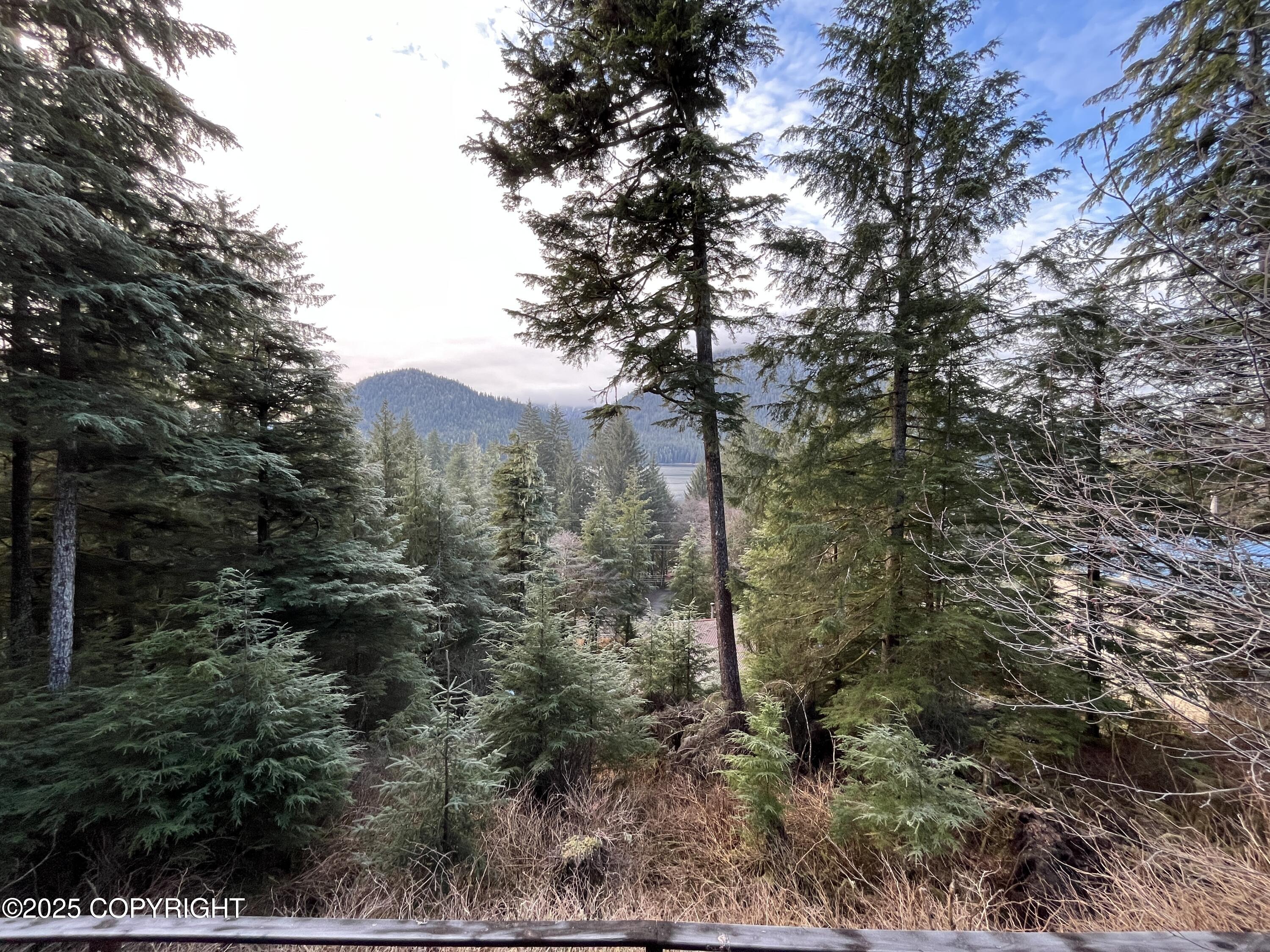 725-C S Mitkof Highway, Petersburg, Alaska image 17