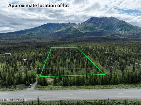 Vacant Land For Sale - L2 Parks Highway<br/> Denali National Park, AK 99755