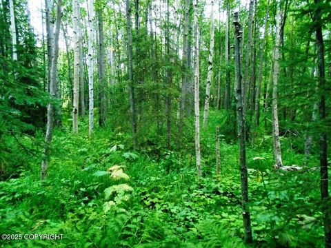 Vacant Land For Sale - LOT 102 NW Loc Sault Avenue<br/> Anchorage, AK 99516