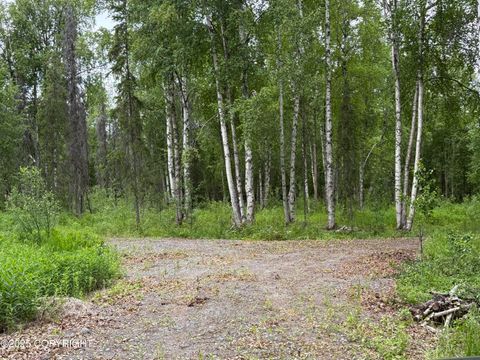 Homes For Sale - 14412 E Ian Tawney Drive<br/> Willow, AK 99688