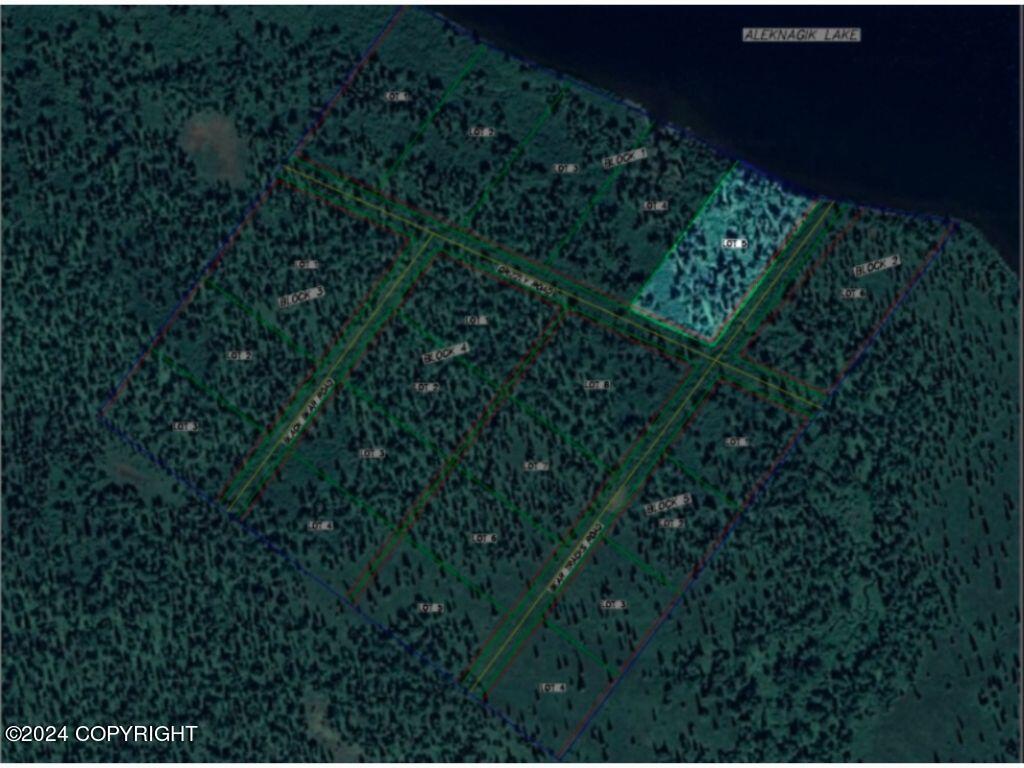 L5B1 Grizzly Road, Aleknagik, Alaska image 12