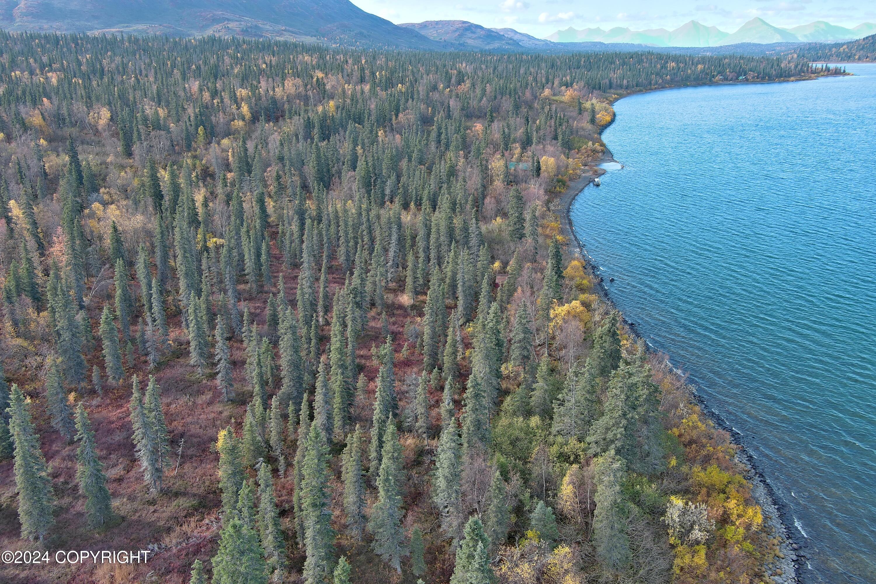 L5B1 Grizzly Road, Aleknagik, Alaska image 6