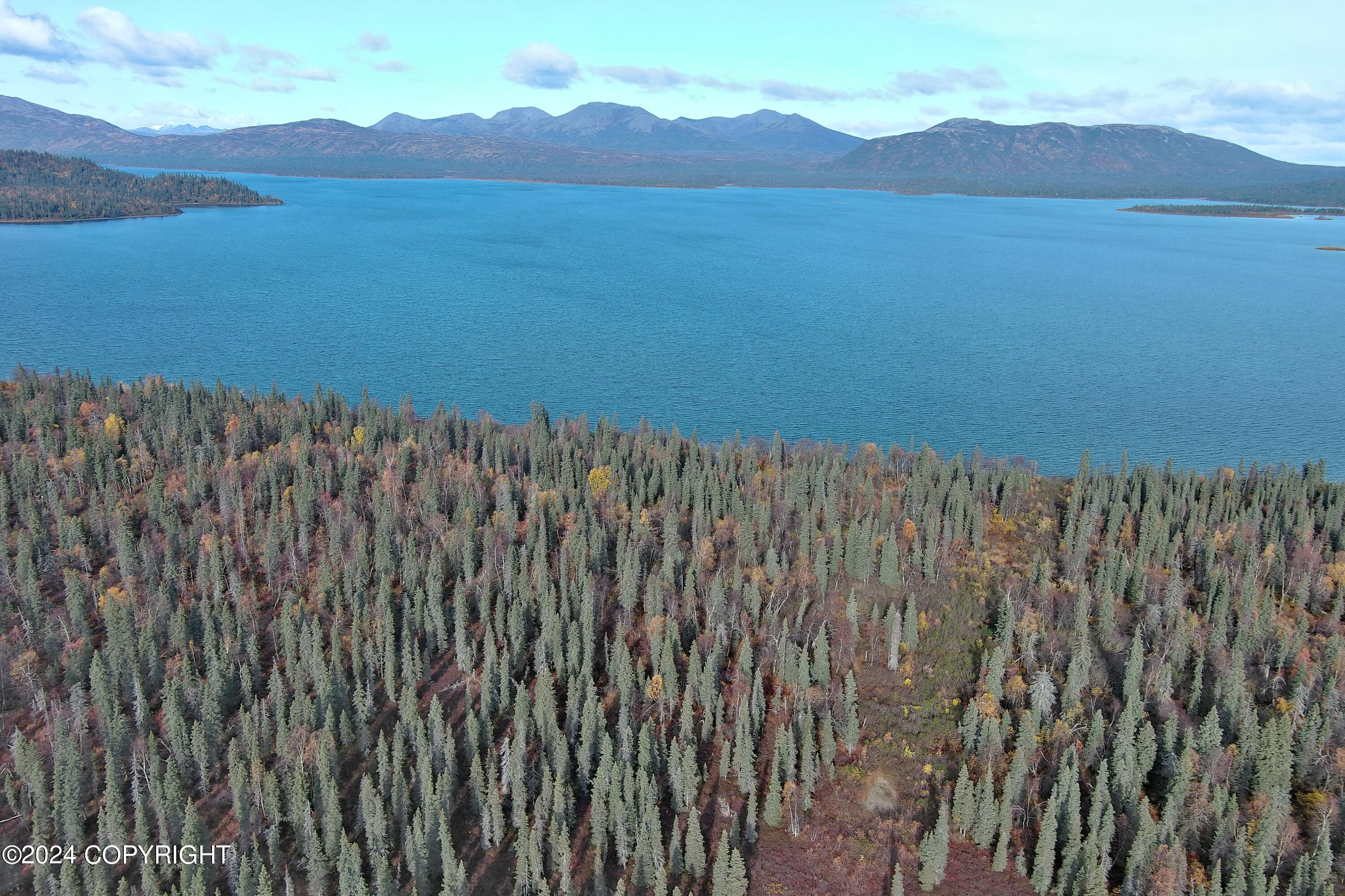 L5B1 Grizzly Road, Aleknagik, Alaska image 9