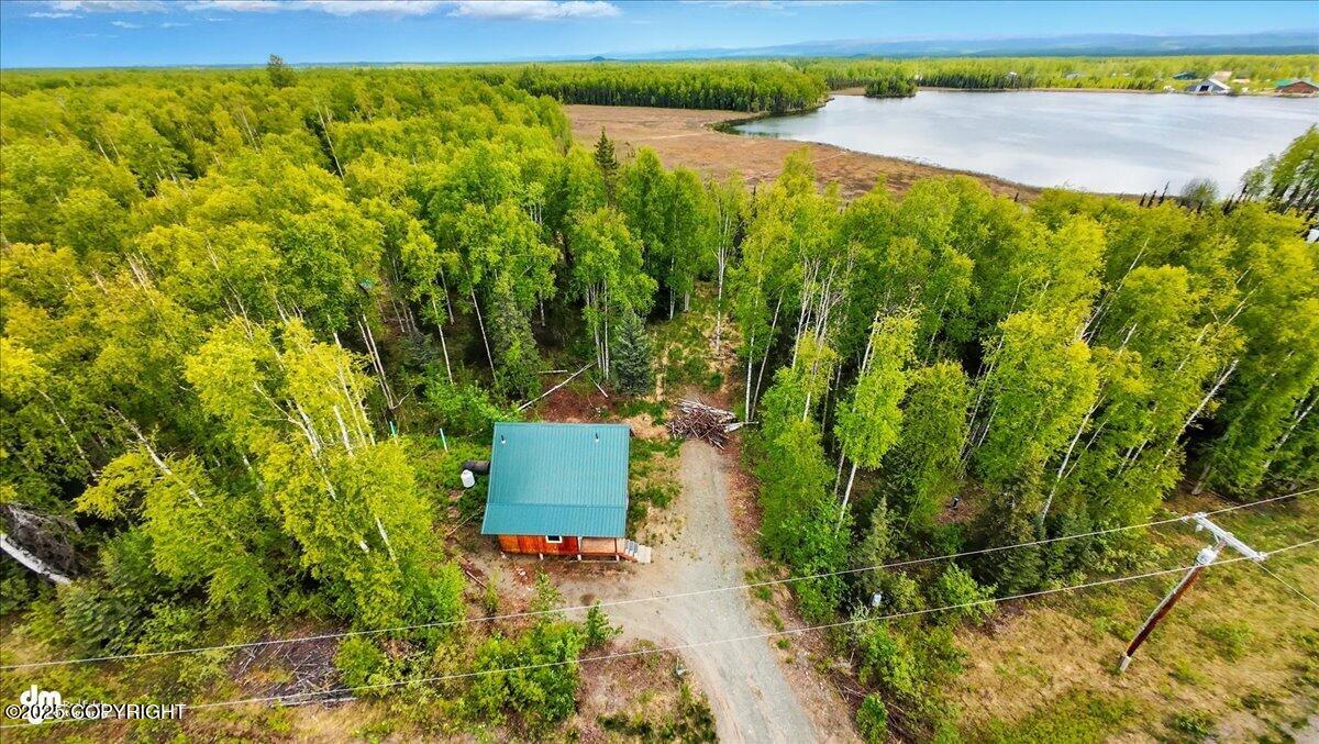 14147 N Lakeshore Drive, Willow, Alaska image 48
