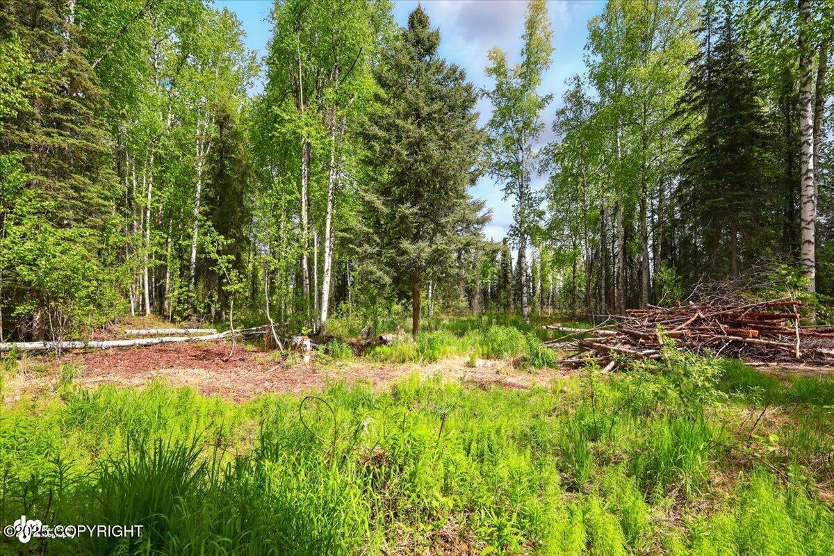14147 N Lakeshore Drive, Willow, Alaska image 45
