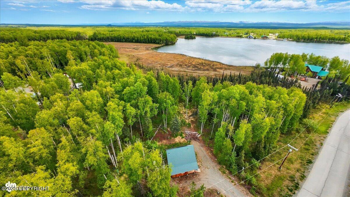 14147 N Lakeshore Drive, Willow, Alaska image 46