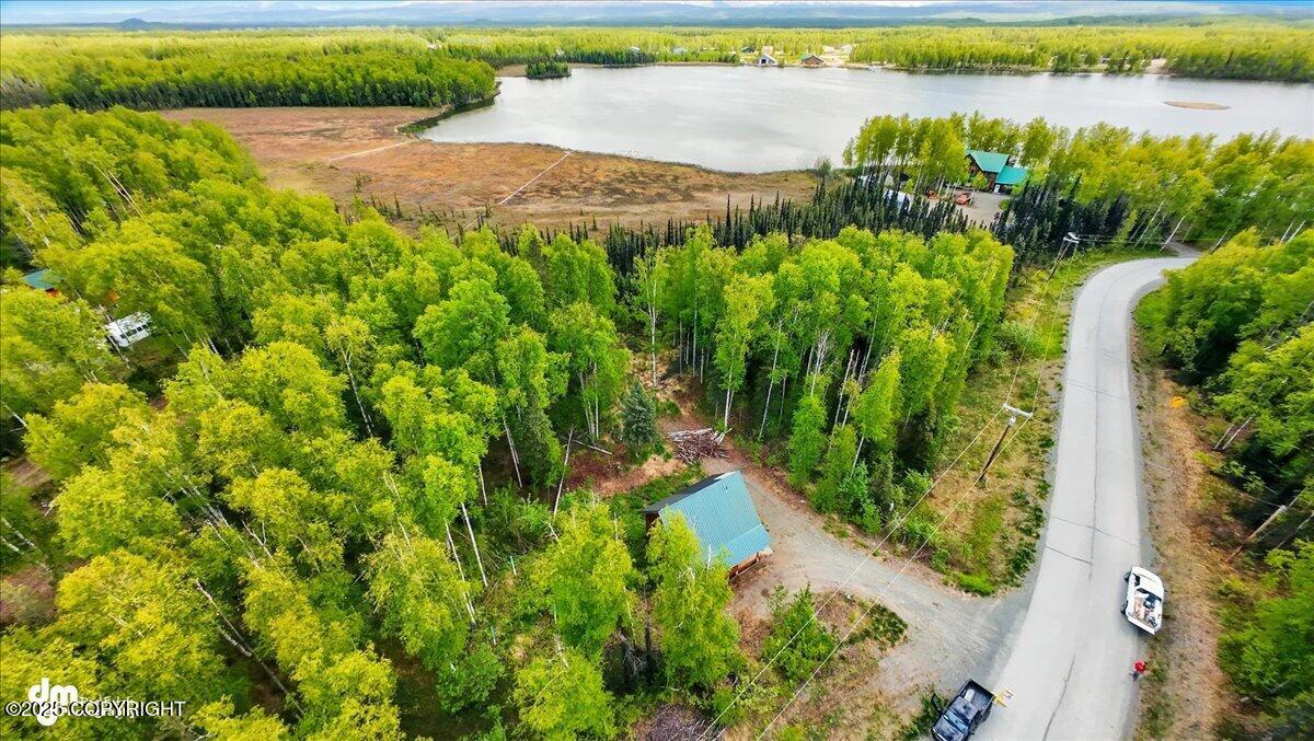 14147 N Lakeshore Drive, Willow, Alaska image 47