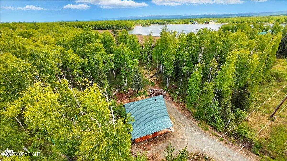 14147 N Lakeshore Drive, Willow, Alaska image 50