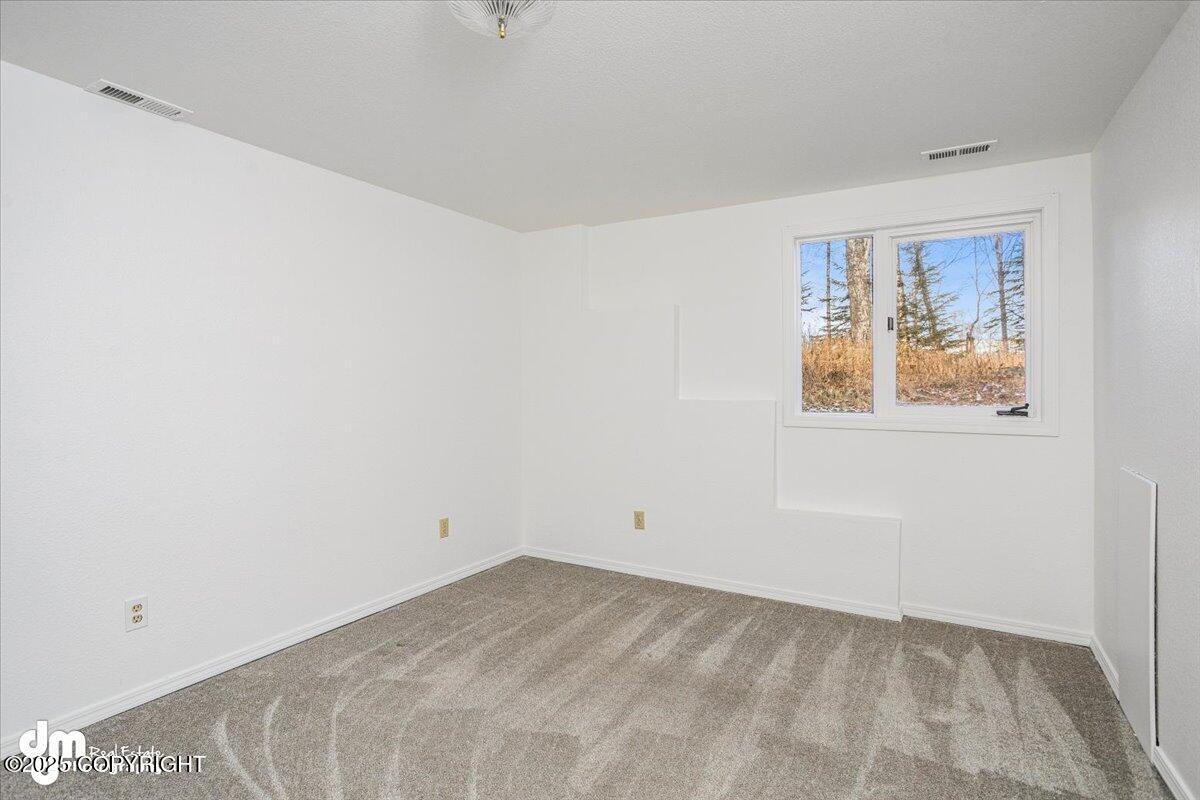 1810 S Redwing Circle #17, Wasilla, Idaho image 48