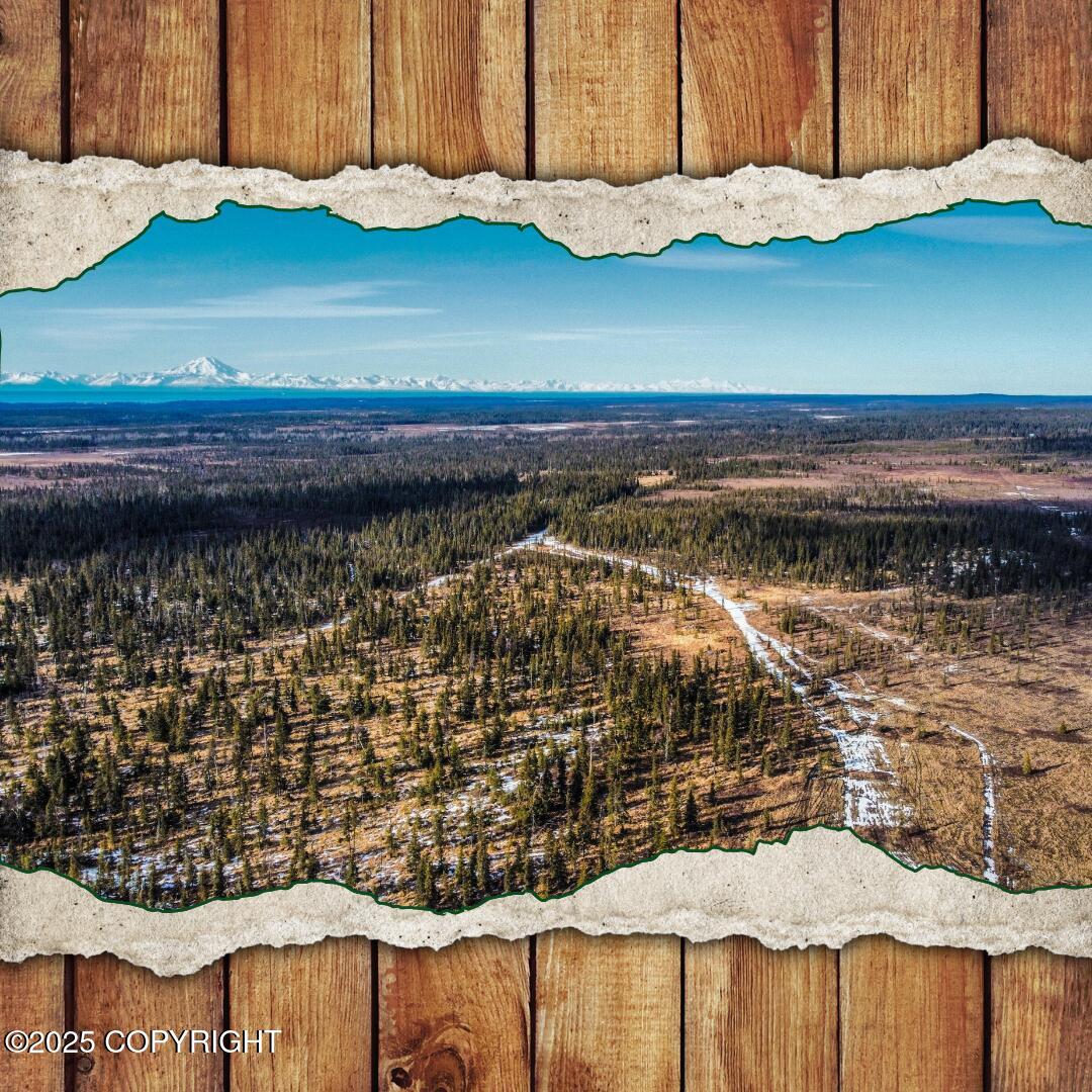 33790 Handcart Road, Anchor Point, Alaska image 1