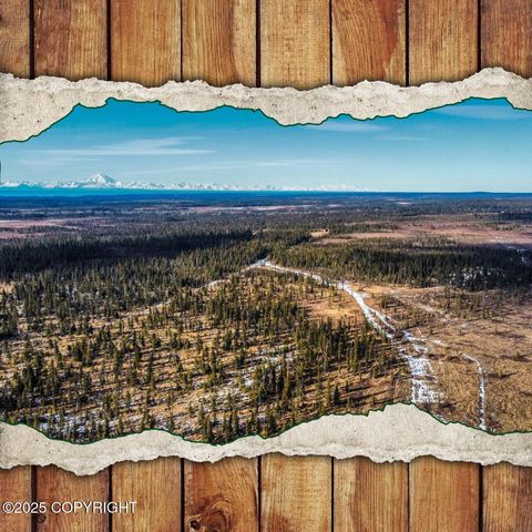 Vacant Land For Sale - 33790 Handcart Road<br/> Anchor Point, AK 99556