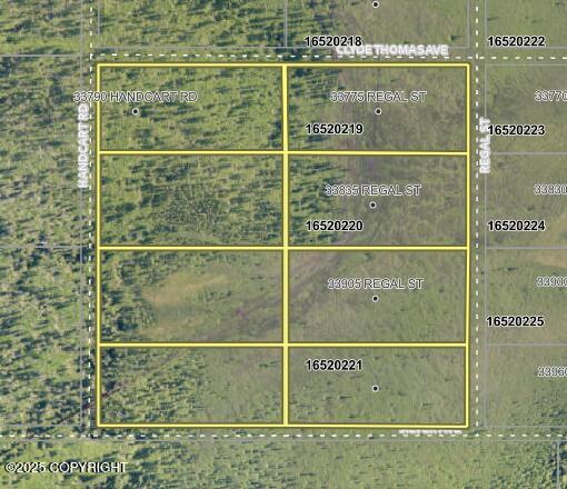 33790 Handcart Road, Anchor Point, Alaska image 4