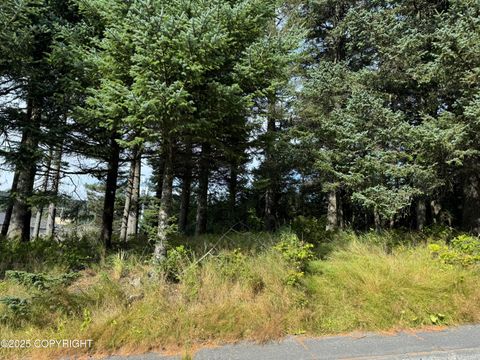 Vacant Land For Sale - 1815 Chichenof Street<br/> Kodiak, AK 99615