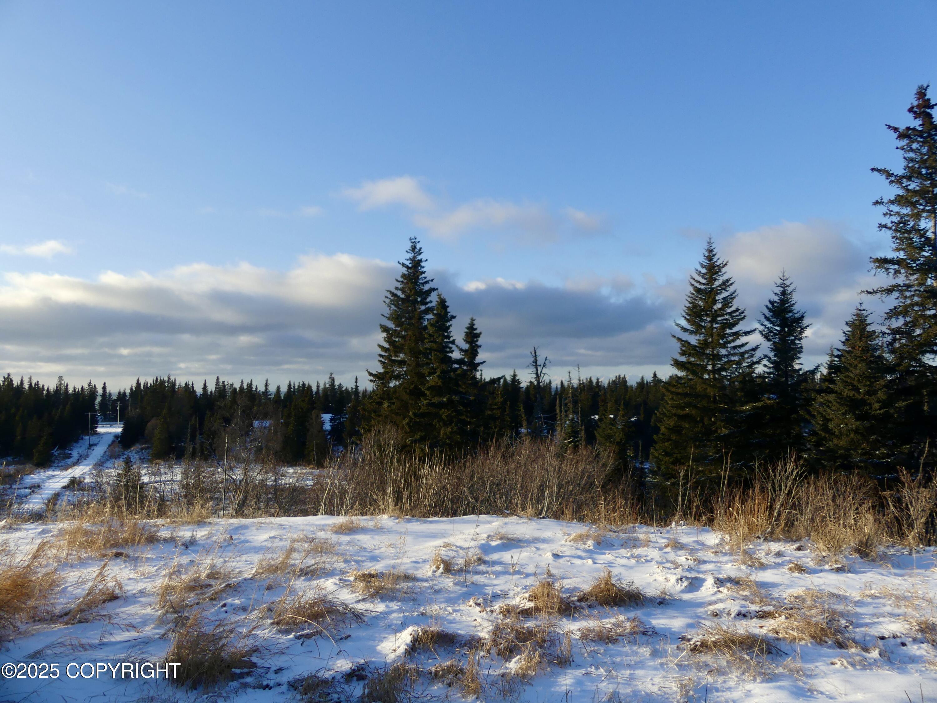 68272 N Wishbone Way, Ninilchik, Alaska image 7