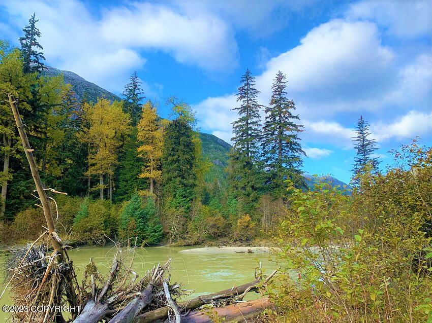 Nhn SW Ferebee River Avenue, Haines, Alaska image 14