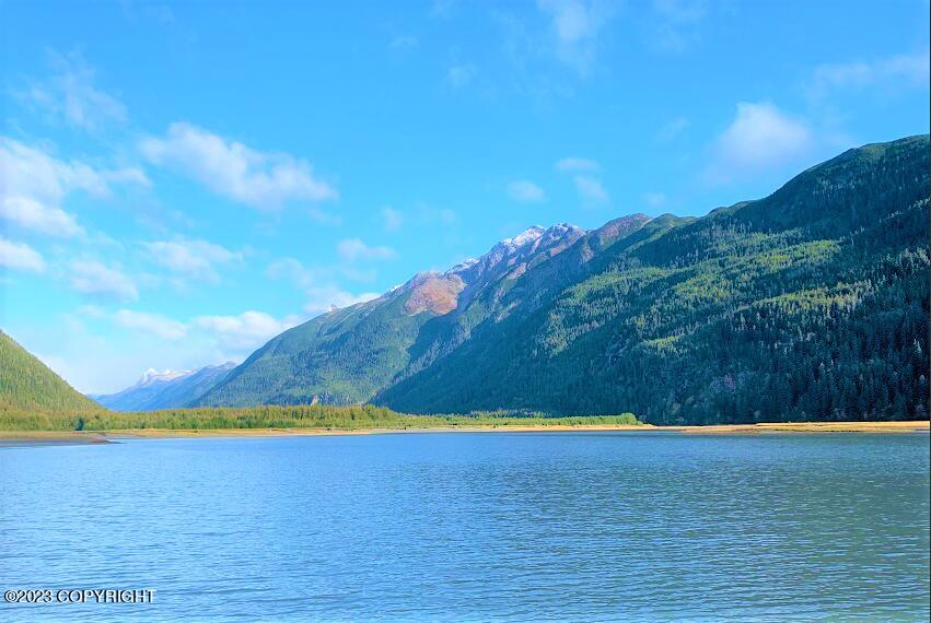 Nhn SW Ferebee River Avenue, Haines, Alaska image 2