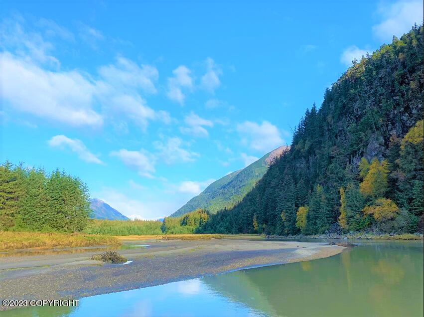 Nhn SW Ferebee River Avenue, Haines, Alaska image 9