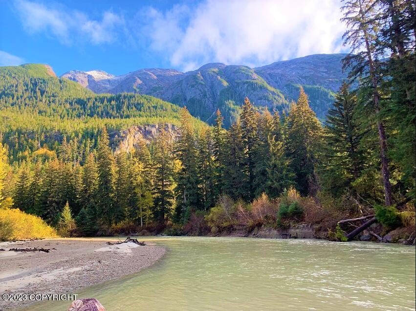 Nhn SW Ferebee River Avenue, Haines, Alaska image 6