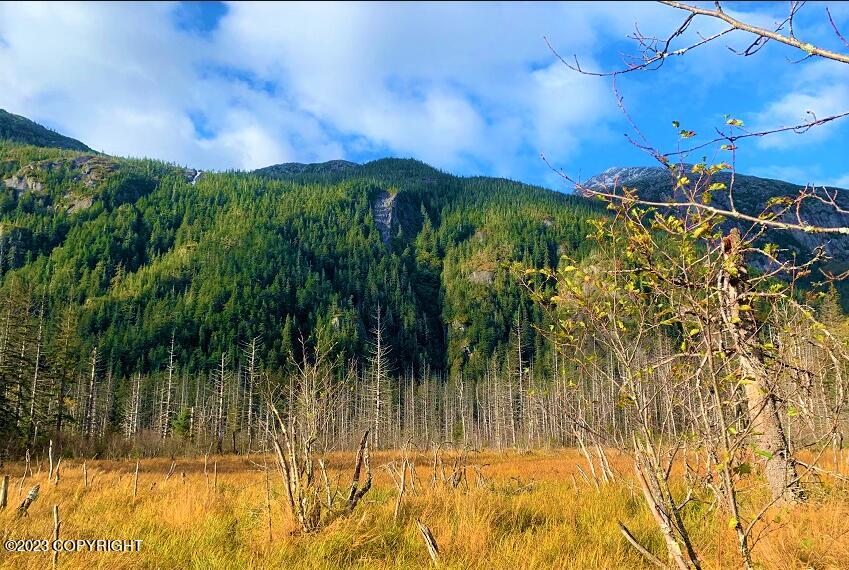 Nhn SW Ferebee River Avenue, Haines, Alaska image 13