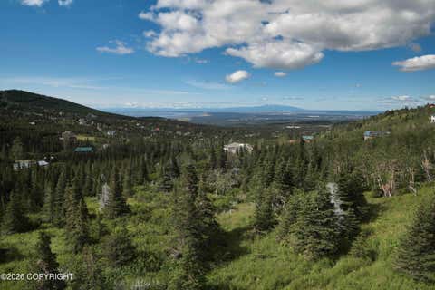 Vacant Land For Sale - 9295 Paine Road<br/> Anchorage, AK 99516