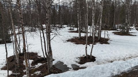 Photo of 15850 E Willow Circle, Talkeetna, AK 99676 (MLS # 26-4273)