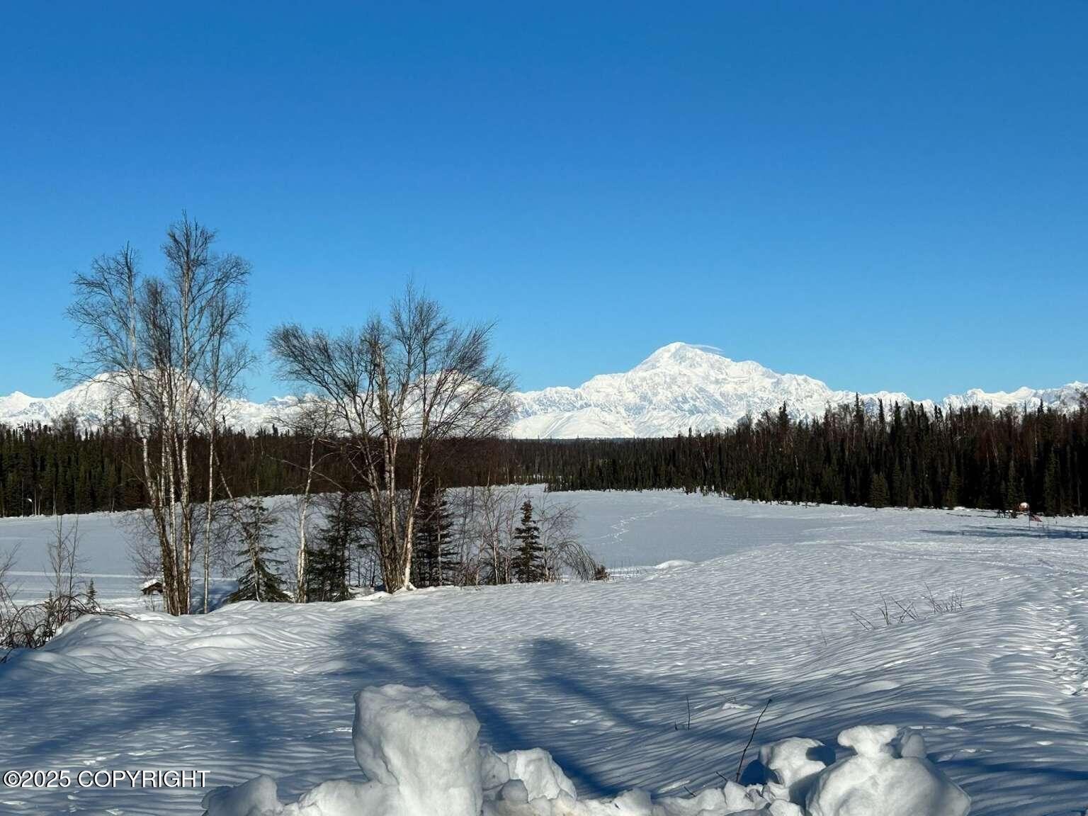 1915 Petersville Road, Trapper Creek, Alaska image 1