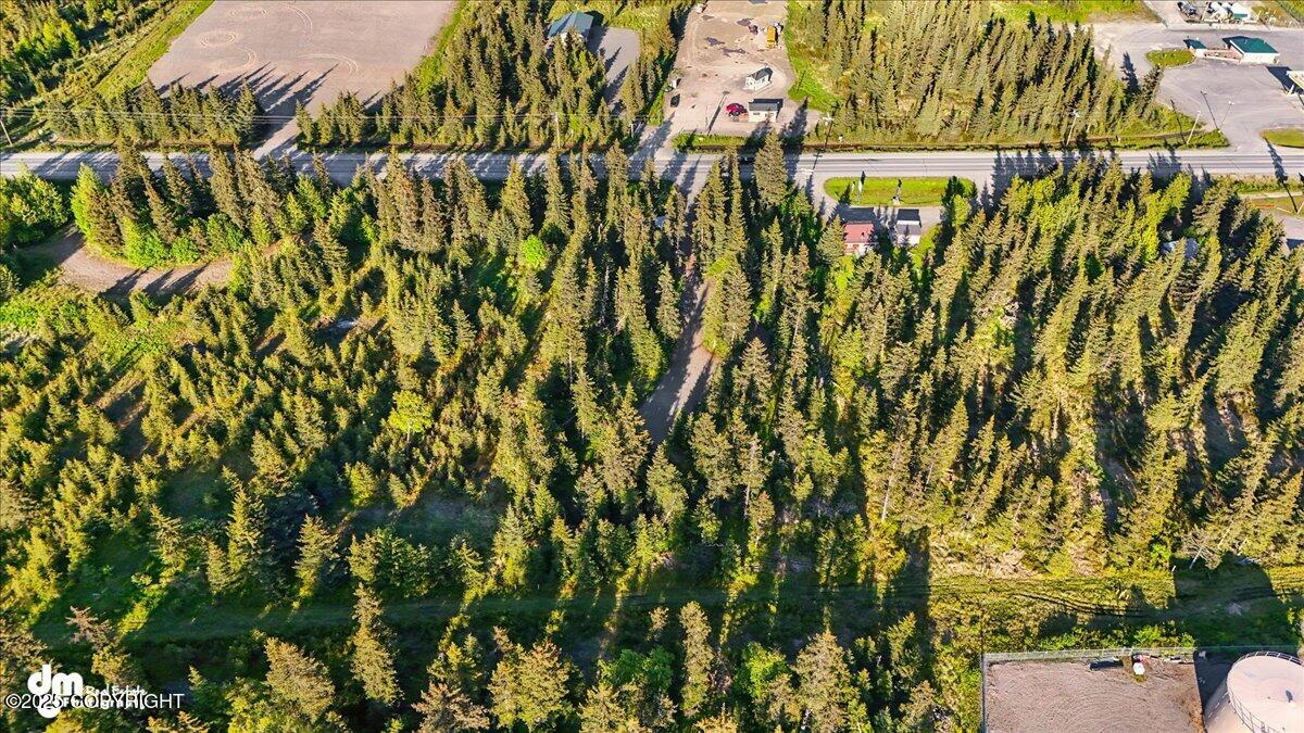 33175 Sterling Highway, Anchor Point, Idaho image 6