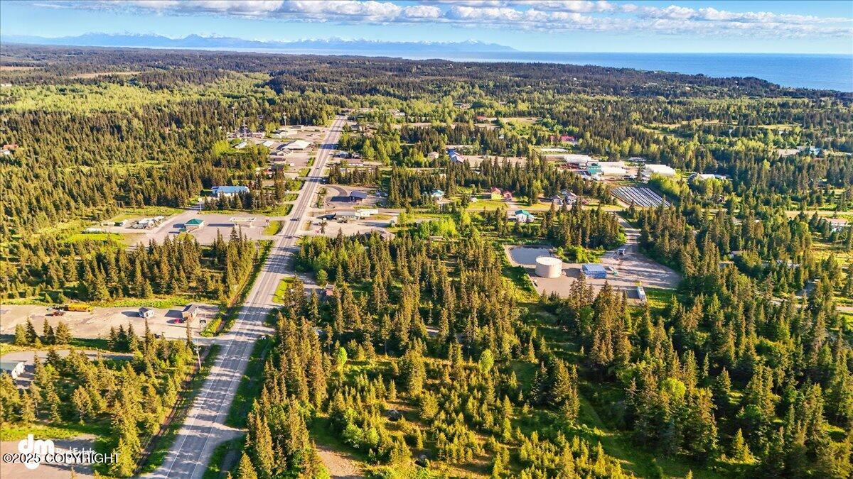 33175 Sterling Highway, Anchor Point, Idaho image 9