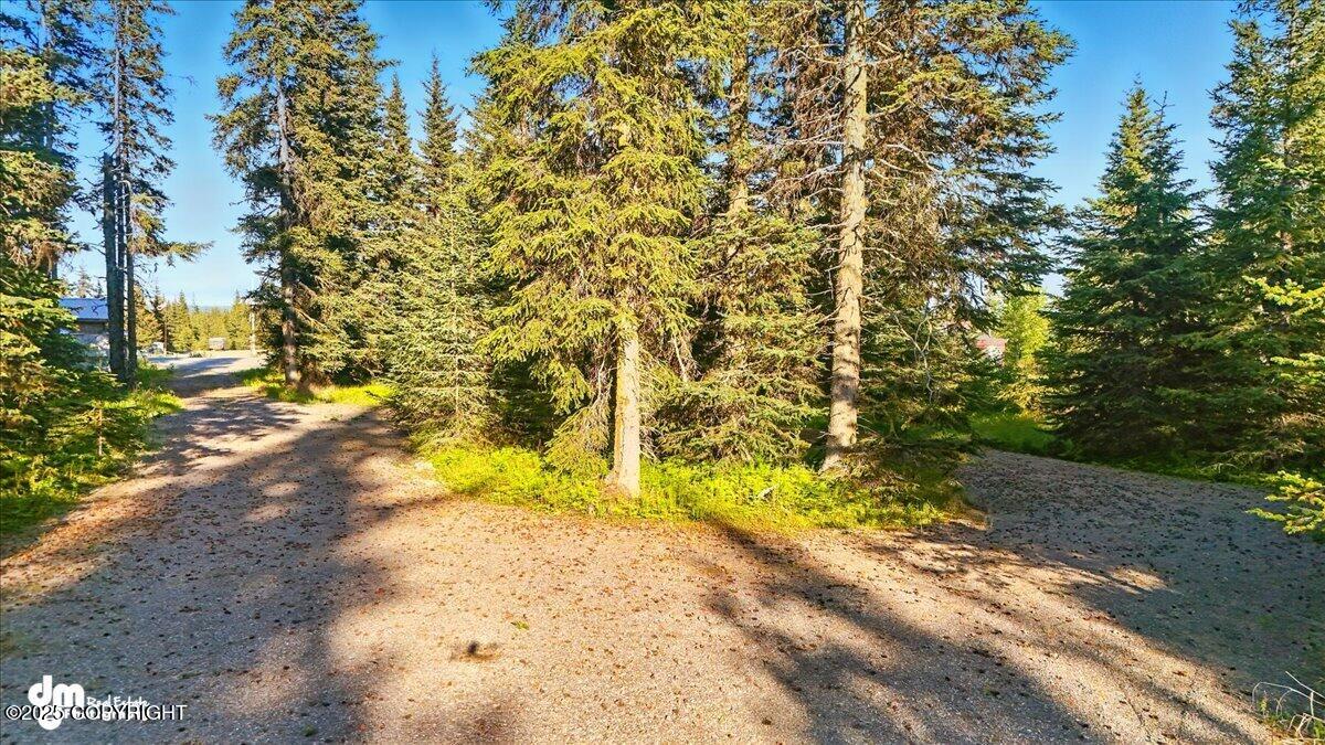 33175 Sterling Highway, Anchor Point, Idaho image 15