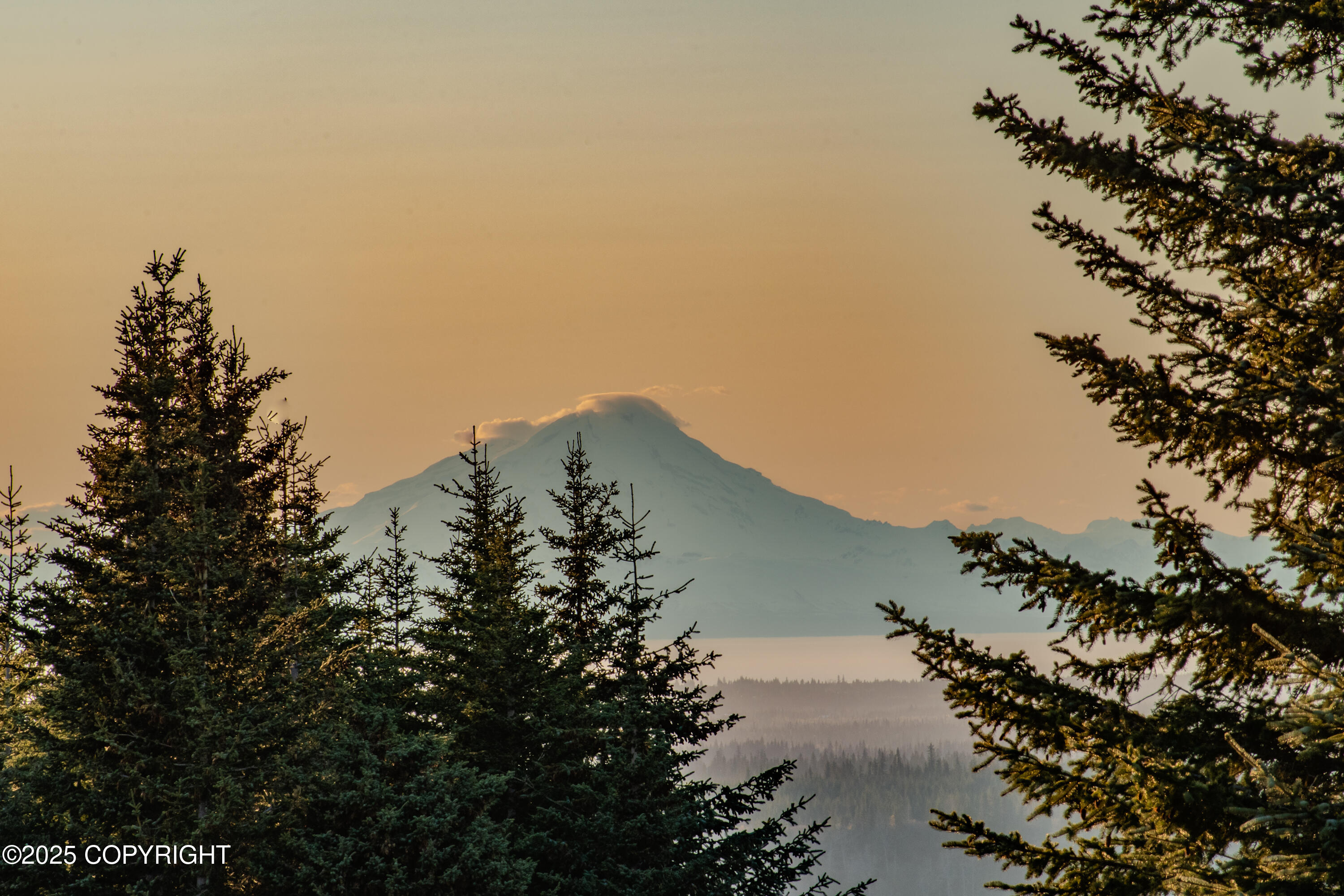 40561 Misty Ridge Road, Homer, Alaska image 2