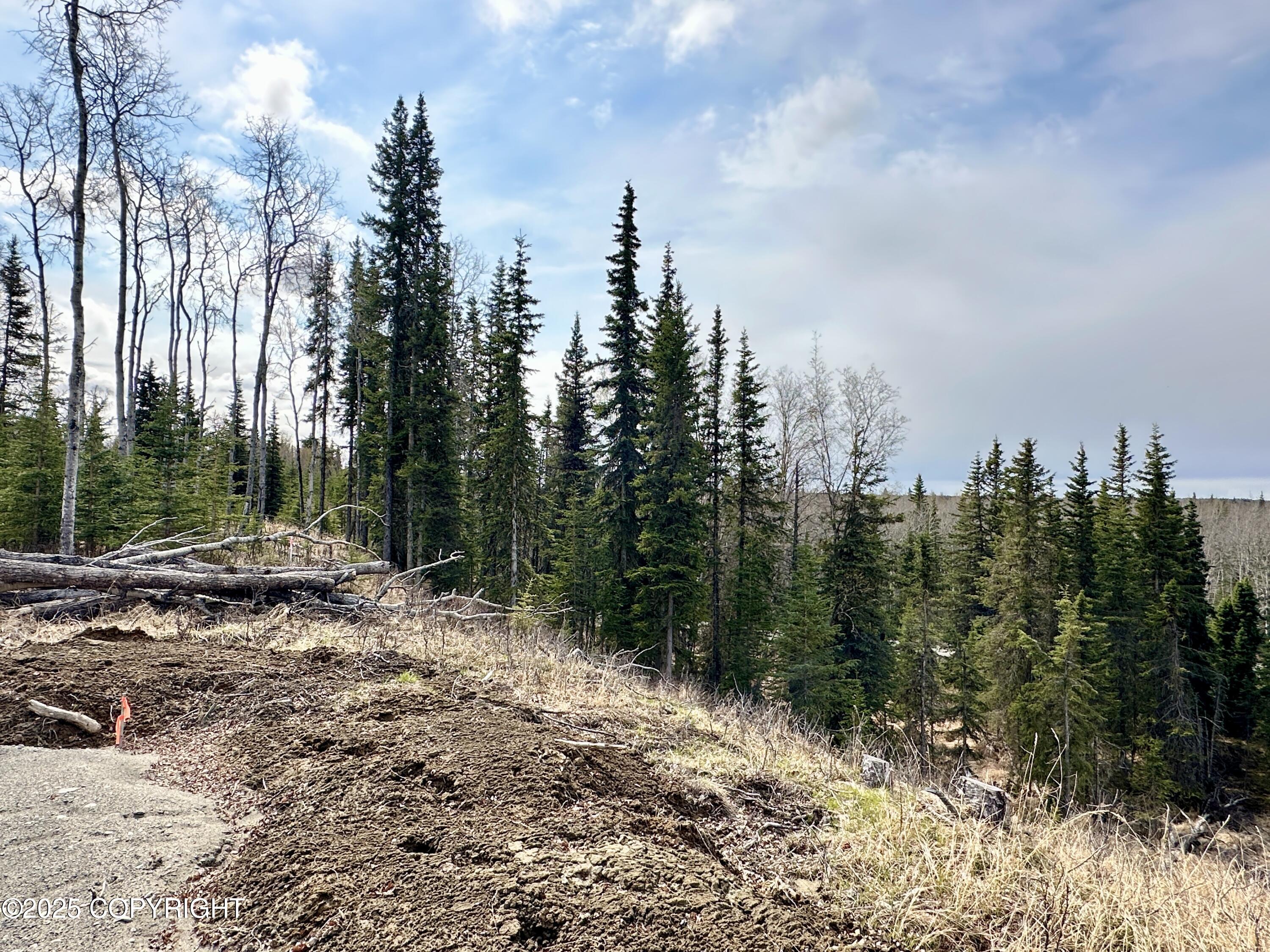 25005 Arctic Fox Road, Kasilof, Alaska image 22