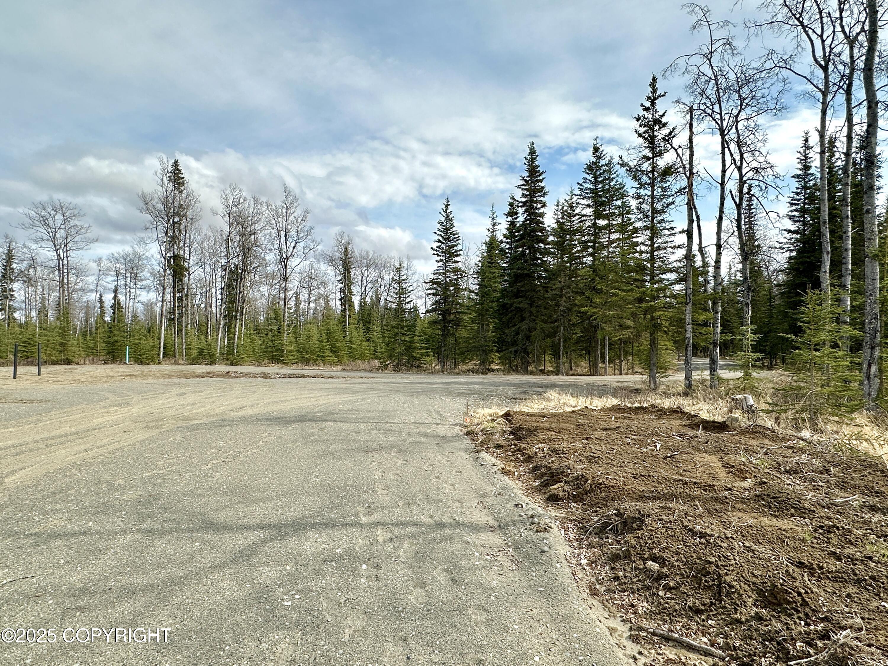 25005 Arctic Fox Road, Kasilof, Alaska image 23